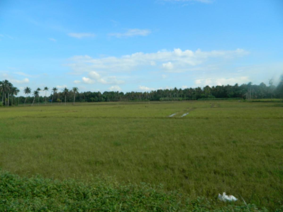 Zamaraya Bed & Breakfast Angamali Exterior photo